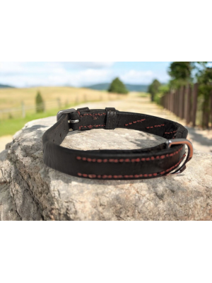Repurposed Leather Dog Collar